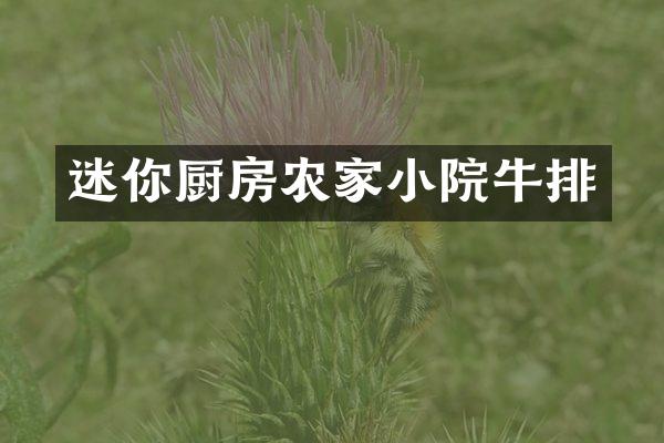 迷你厨房农家小院牛排