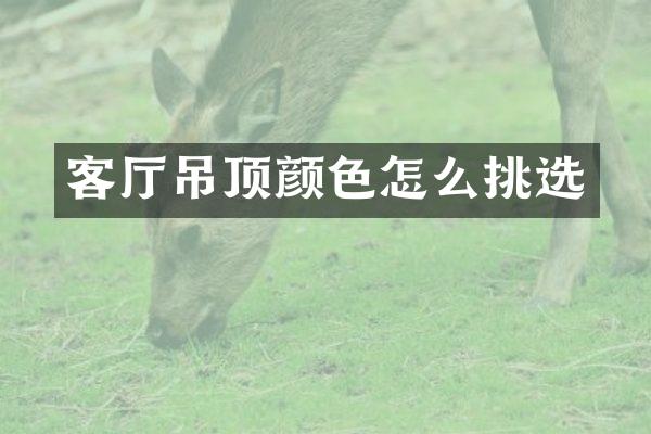 客厅吊顶颜色怎么挑选