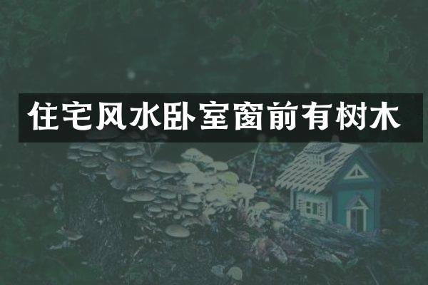 住宅风水卧室窗前有树木