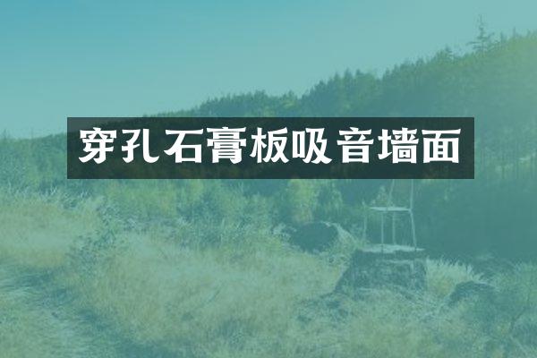 穿孔石膏板吸音墙面