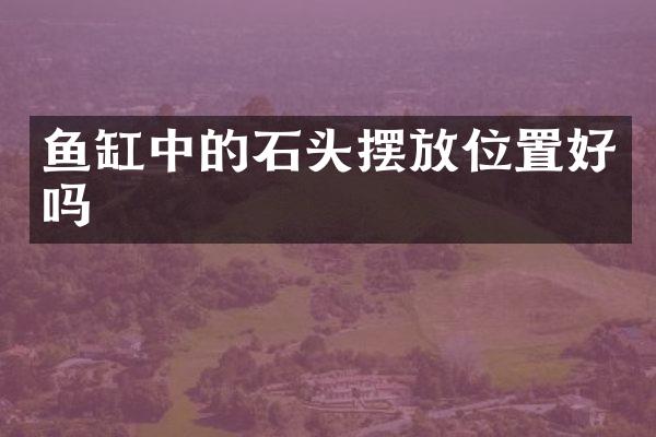 鱼缸中的石头摆放位置好吗