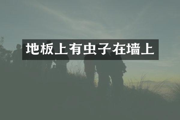 地板上有虫子在墙上