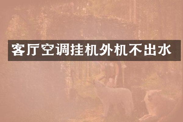 客厅空调挂机外机不出水