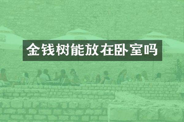 金钱树能放在卧室吗