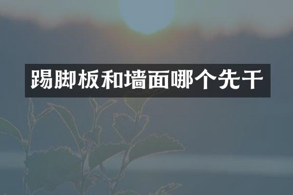 踢脚板和墙面哪个先干