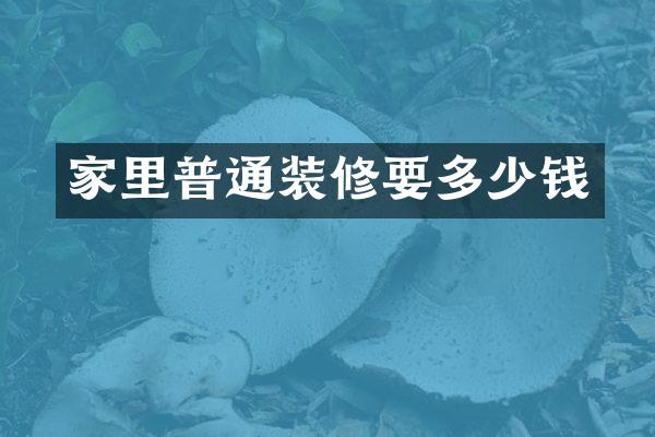 家里普通装修要多少钱