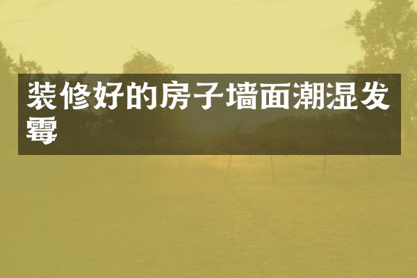 装修好的房子墙面潮湿发霉
