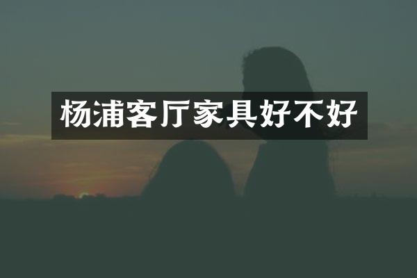 杨浦客厅家具好不好