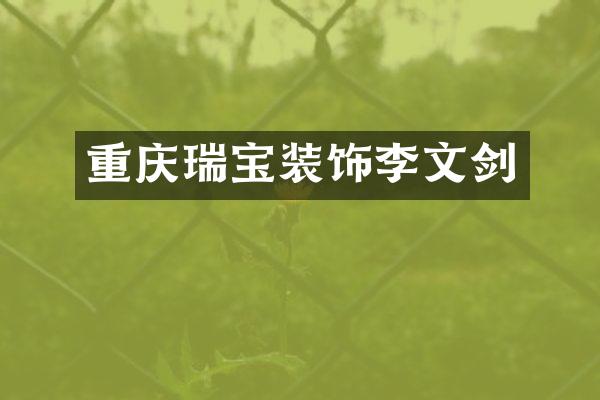 重庆瑞宝装饰李文剑