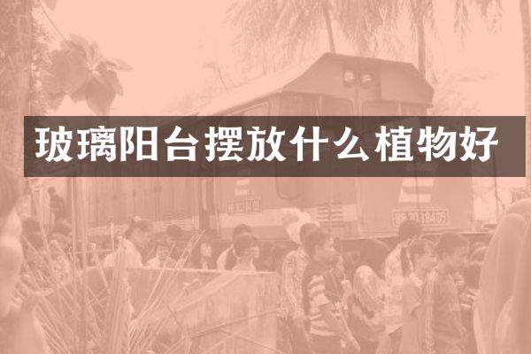 玻璃阳台摆放什么植物好