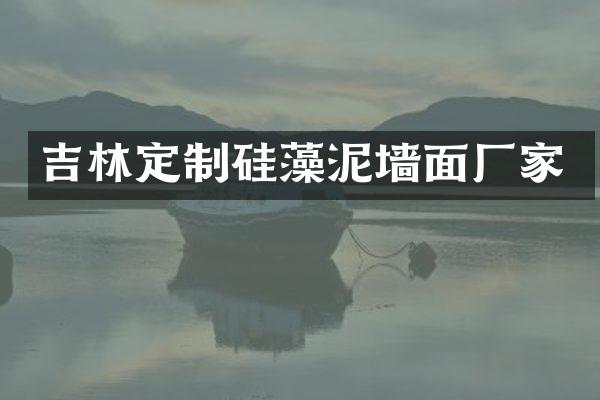 吉林定制硅藻泥墙面厂家