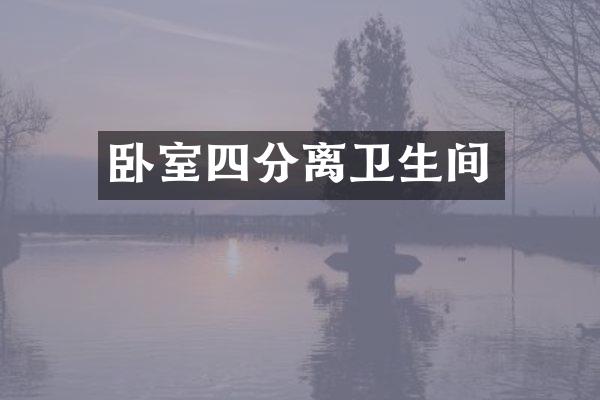 卧室四分离卫生间
