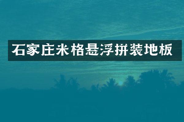 石家庄米格悬浮拼装地板