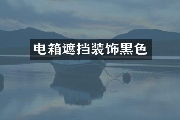 电箱遮挡装饰黑色