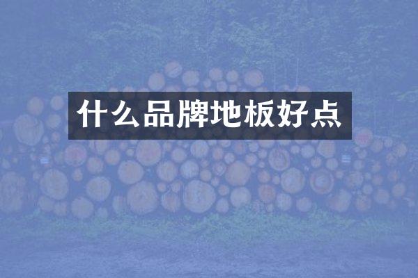 什么品牌地板好点