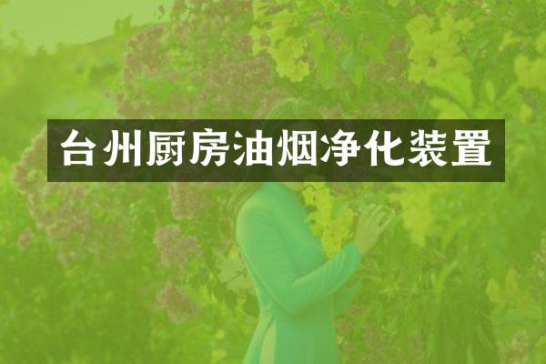 台州厨房油烟净化装置