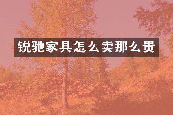 锐驰家具怎么卖那么贵