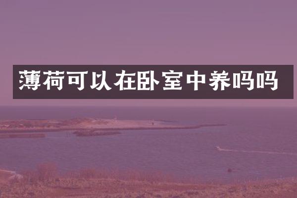 薄荷可以在卧室中养吗吗