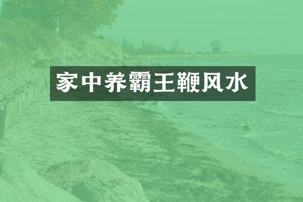 家中养霸王鞭风水
