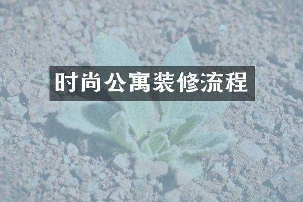 时尚公寓装修流程