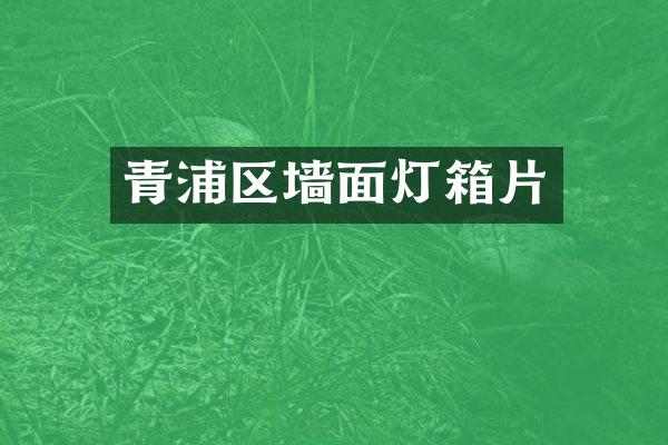 青浦区墙面灯箱片