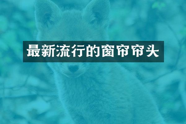 最新流行的窗帘帘头