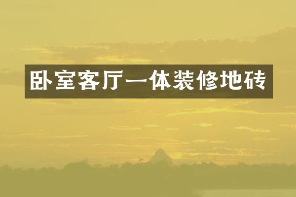 卧室客厅一体装修地砖