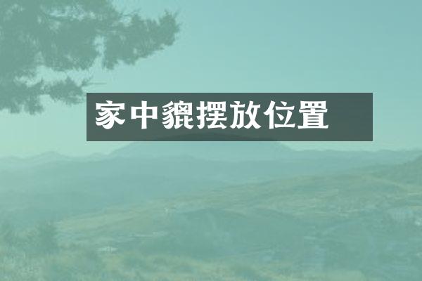 家中貔恘摆放位置