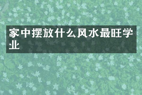 家中摆放什么风水最旺学业