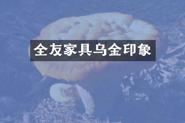全友家具乌金印象