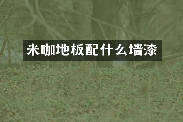 米咖地板墙漆