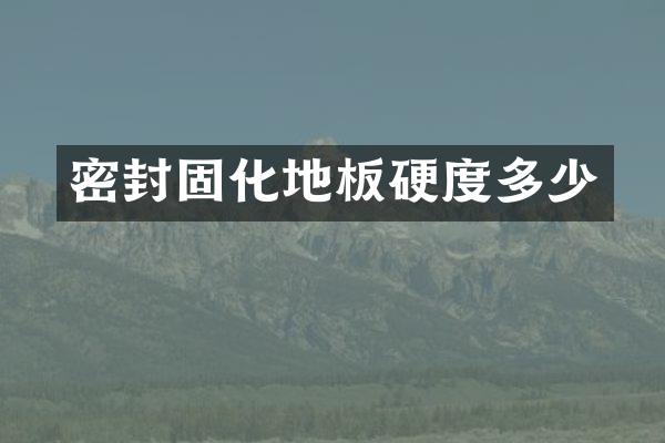 密封固化地板硬度多少