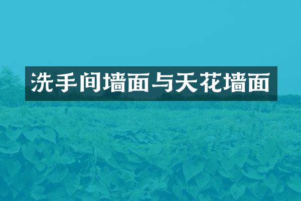 洗手间墙面与天花墙面