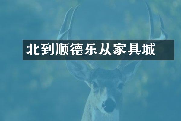 北滘到顺德乐从家具城