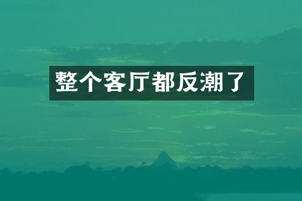 整个客厅都反潮了