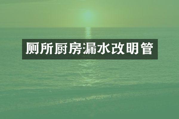 厕所厨房漏水改明管