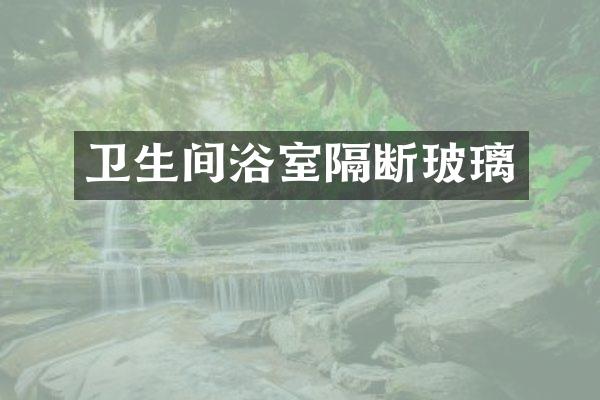 卫生间浴室隔断玻璃