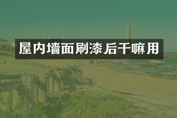 屋内墙面刷漆后干嘛用