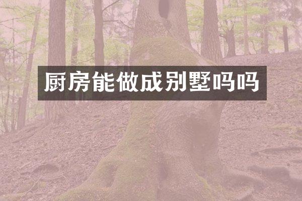 厨房能做成别墅吗吗