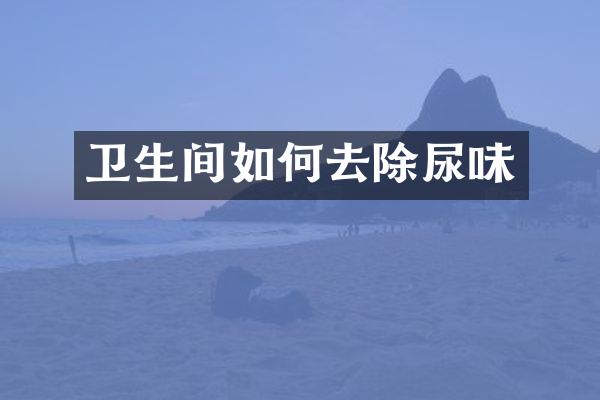 卫生间如何去除尿味