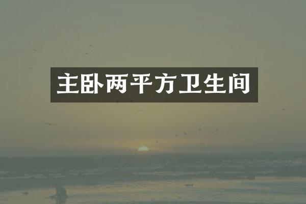 主卧两平方卫生间