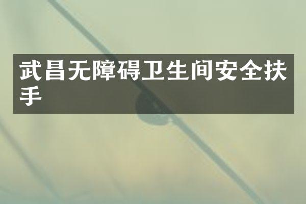 武昌无障碍卫生间安全扶手