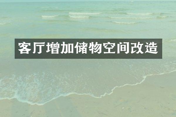 客厅增加储物空间改造