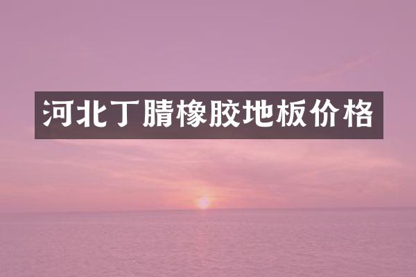 河北橡胶地板价格