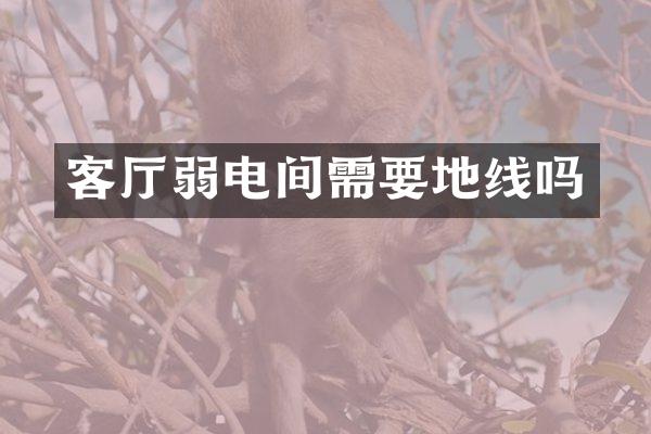客厅弱电间需要地线吗