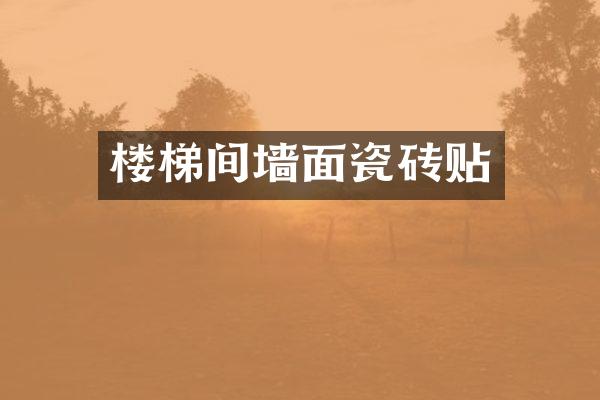 楼梯间墙面瓷砖贴