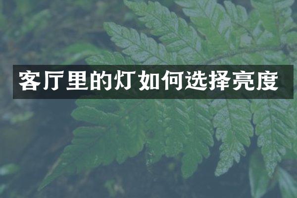 客厅里的灯如何选择亮度