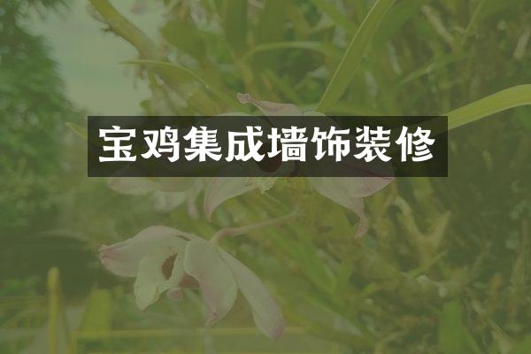 宝鸡集成墙饰装修