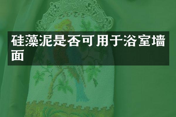 硅藻泥是否可用于浴室墙面