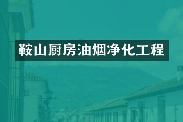 鞍山厨房油烟净化工程